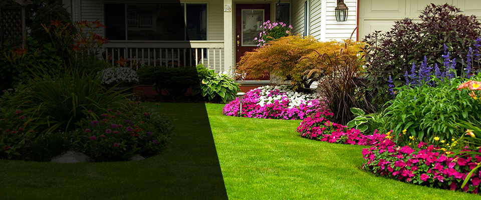 Winterville Landscapers